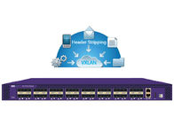 NetTAP® Network Packer Broker VXLAN Header Stripping در بسته اصلی و ابرداده